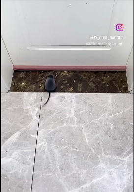 Butoir de porte (Contre ouverture sous les portes)