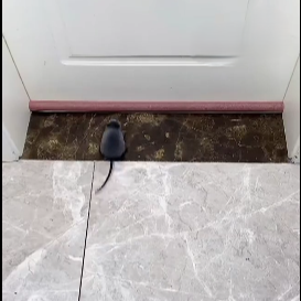 Pack de Serpillière de nettoyage automatique + Bas de porte (contre les ouvertures sous les portes)